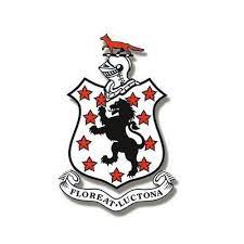 拉肯顿学校 logo